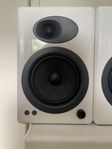 Audioengine A5+ & S8 Sub