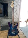 Ernie ball Music Man Y2D Steve morse 