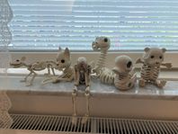 Skelettfigurer Panduro Samlarobjekt Leksak