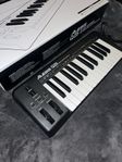 Alesis Q25, 25-Tangent USB/MIDI-Keyboard