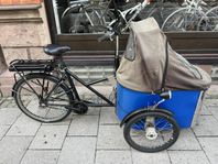 Eldrivna nihola familj lådcykel 