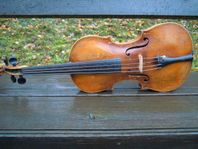 Violin Stainermodell 1800-tal.
