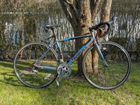 Wilier Triestina