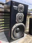 YAMAHA NS300X