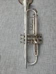 Trumpet/pocket-trumpet
