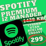 Spotify Premium 12 Månader