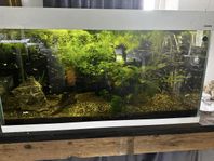 120 liters akvarium