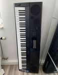 Casio WK-6500