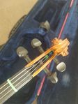 Fiol - Fiol - Stentor SR1500 Violin Student II 1/2