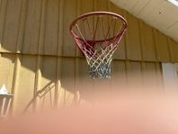 Basket korg och boll
