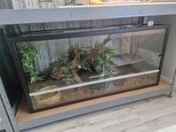 terrarium 120x50x60 