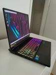 Acer Predator i7 13. ~ 16" ~RTX 4060 Premium Gaming Laptop 