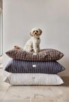 Hundbädd/kudde från OYOY Living Design