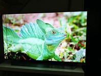 LG OLED 4K Smart tv 