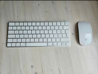 Apple Magic mouse 2 & Magic keyboard