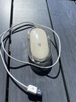 Apple Pro mouse model M5769