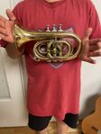 Trumpet pocket - Roy Benson