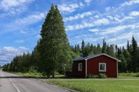 Nätt och välskött hus omgiven av skog