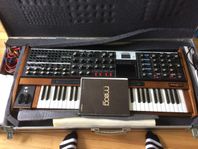 Moog Voyager XL ink. Flight Case