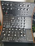 Moog Sound Studio 3 (Mother-32 & DFAM & Subharmonicon)