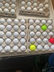 Titleist mix Golfbollar