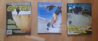 Skateboardtidningar 2006-2015, 40 st, svenska och engelska