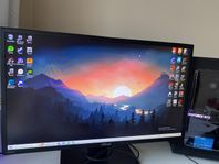 Asus VG245H