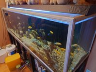 akvarium 720 liters säljes