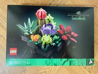LEGO Blommor 10309 Suckulenter Icons Botanical Collection
