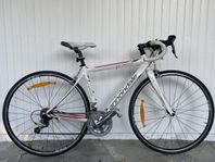Cannondale Synapse - Dam racer 