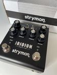 Strymon Iridium Amp & IR cab