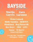 2 dagars basic Bayside biljett 