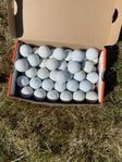 Golfbollar — 100 Titleist ProV1