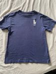 Polo Ralph Lauren blå T-shirt M / 146-152 / 10-12