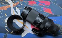 Sigma 100-400mm f/5-6.3 DG DN OS Contemporary for Sony 