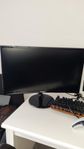 Samsung 24" Curved Monitor