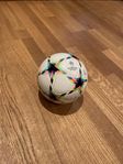 mini Champions league boll 250kr