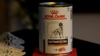 Royal Canin Veterinärmat Gastrointestinal