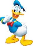 Donald Duck Affisch 50×70 CM 