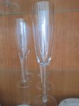 Boda Nova champagne glas 6 st