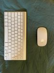Apple magic mouse och tangentbord