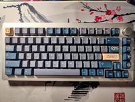 Custom Modded Monsgeek M1 75% RGB Mechanical Keyboard