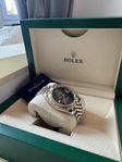 Rolex datejust 41 126333 wimbledon (2023)