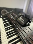 Korg pax4 