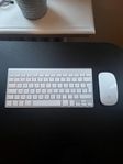 Apple tangentbord och mus
