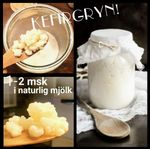 Färska Kefirgryn, mjölkkefir, startkultur fermentering mat