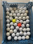 Golfbollar, Wilson Staff