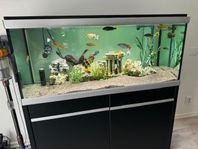 Akvastabil akvarium MOVE 360 liter komplett med fisk mm