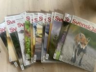 Tidningar Svensk Jakt  2017-2018, alla för 50! Nyskick!