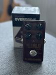 Tc electronic MojoMojo overdrive